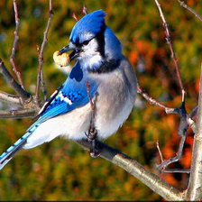 Схема вышивки «№637022»