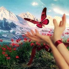 Схема вышивки «красота»