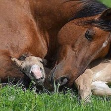 Схема вышивки «с мамой»