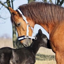 Схема вышивки «с мамой»