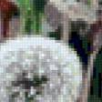 Предпросмотр схемы вышивки «цветы» (№637086)