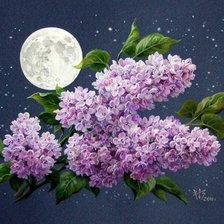 Схема вышивки «сирень»