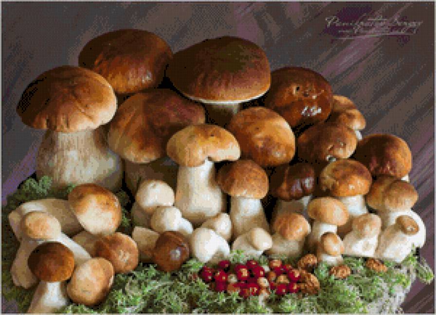 грибочки - для кухни - предпросмотр