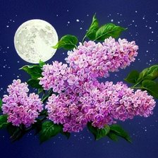 Схема вышивки «Букет сирени»