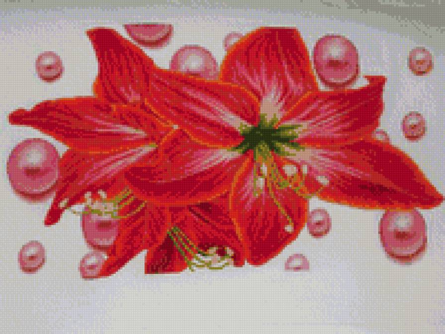 лилия - цветы, лилия - предпросмотр