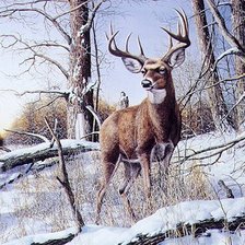 Схема вышивки «Лесные обитатели»