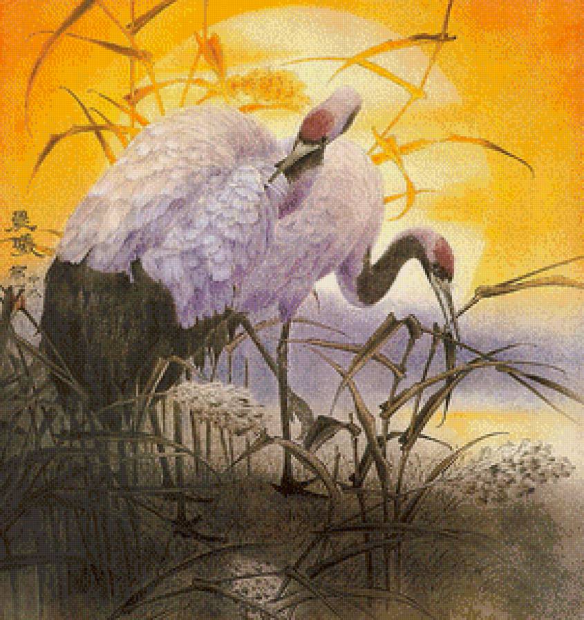 журавли на рассвете - китай, солнце, восток, рассвет, озеро, журавль, семейное счастье - предпросмотр