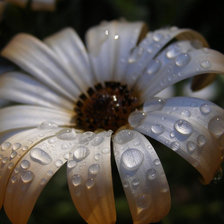 Схема вышивки «цветок»