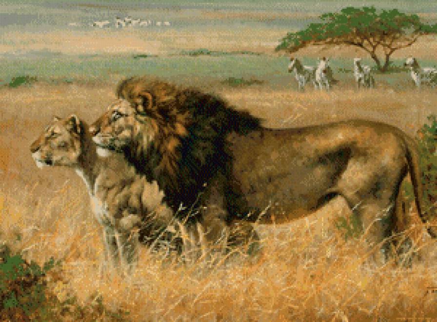 Львы - львы - предпросмотр