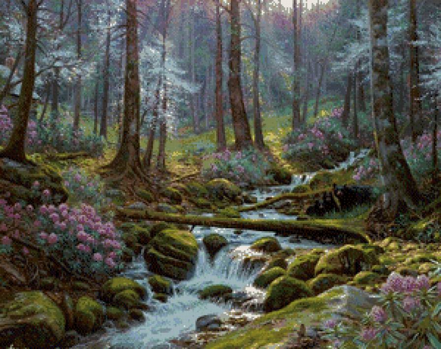 ручей в лесу - лето ручей лес природа - предпросмотр