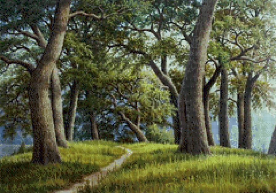 тропинка - лето тропинка лес - предпросмотр