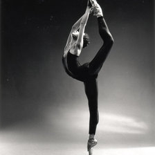 Схема вышивки «балет»