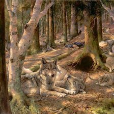 Схема вышивки «Wilki»