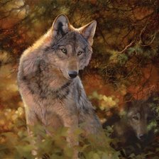 Схема вышивки «Wilki»