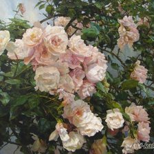 Схема вышивки «Roze»