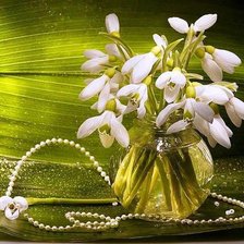 Схема вышивки «подснежники»