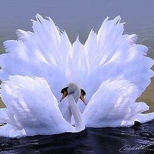 Схема вышивки «любовь»