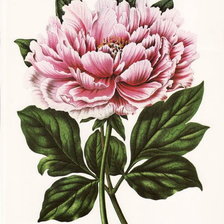 Схема вышивки «№637869»