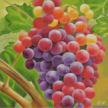 Схема вышивки «серия "кухня"»