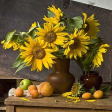 подсолнухи