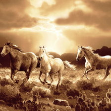 Схема вышивки «лошади»