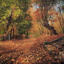 Схема вышивки «пейзаж осень»