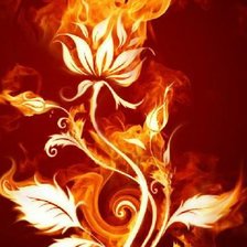 Схема вышивки «роза»