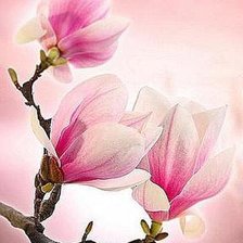 Схема вышивки «Магнолия»