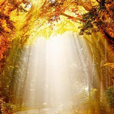 Волшебный свет