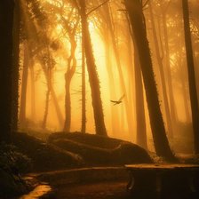 Схема вышивки «Вечерний лес»