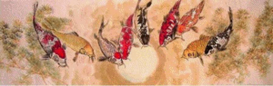 Карпы - карпы - предпросмотр