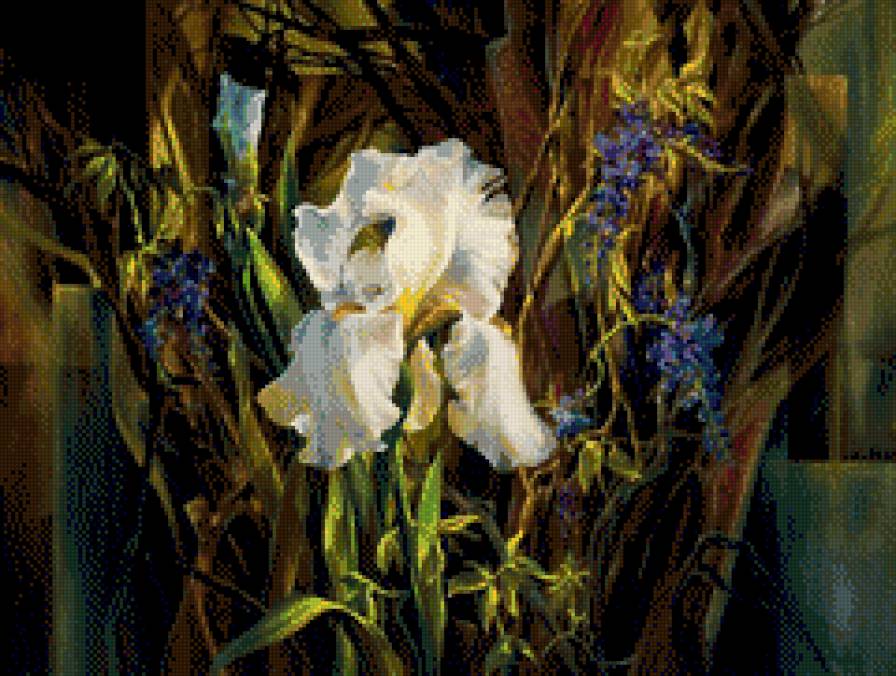 irys - kwiaty, irysy - предпросмотр