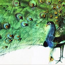 Схема вышивки «Павлин»