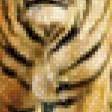 Предпросмотр схемы вышивки «Тигр» (№638400)