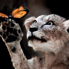 Схема вышивки «Кошка»