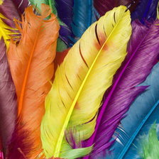 Схема вышивки «Перья»