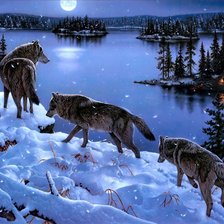 Схема вышивки «волки»