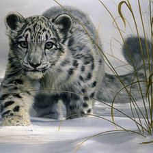 Схема вышивки «Кошка»