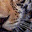 Предпросмотр схемы вышивки «Леопард» (№638436)