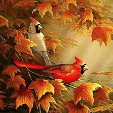 Схема вышивки «Птицы»