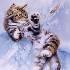 Схема вышивки «Кошка»