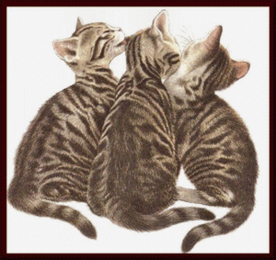 Полосатая троица - животные, котята - предпросмотр