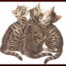 Схема вышивки «Полосатая троица»