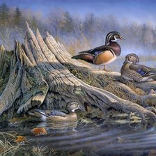 Схема вышивки «утки»