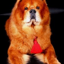 Схема вышивки «РЭД»