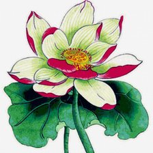 Схема вышивки «Лотос»