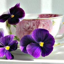 Схема вышивки «№639007»