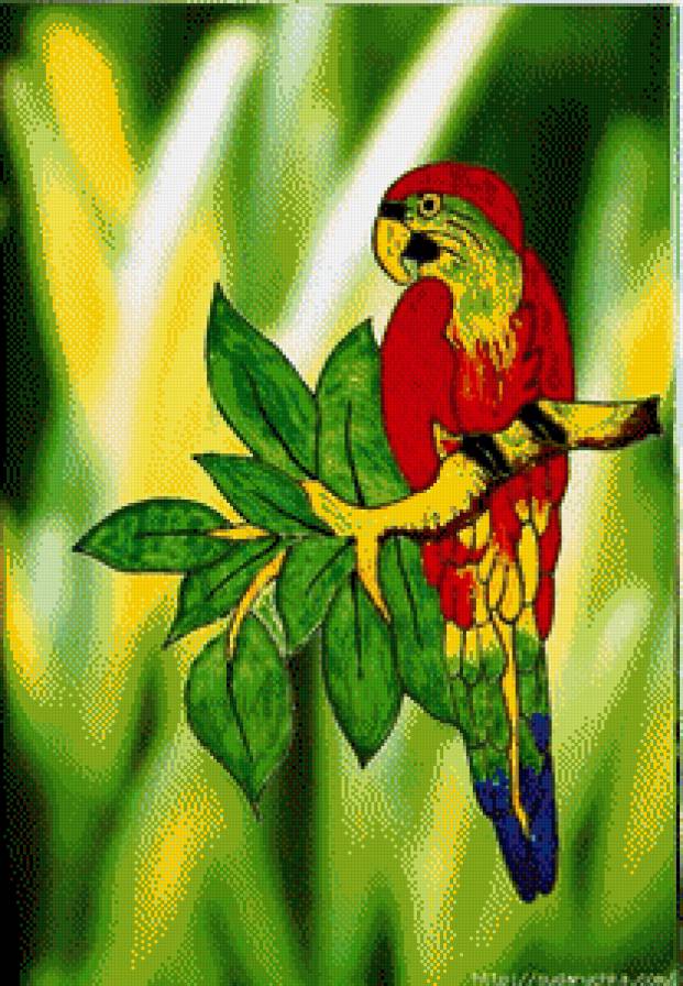 серия "птицы" - птица.попугай - предпросмотр