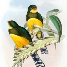 Схема вышивки «серия "птицы"»