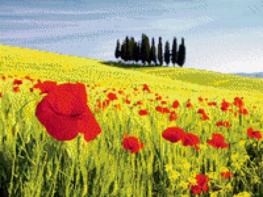 природа - природа, земля, растения - предпросмотр